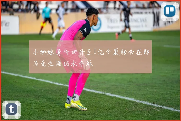 小蜘蛛身价回升至1亿今夏转会在即马竞生涯仍未夺冠