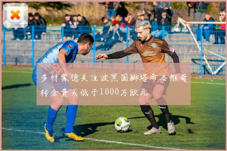多特蒙德关注波黑国脚塔希洛维奇转会费或低于1000万欧元